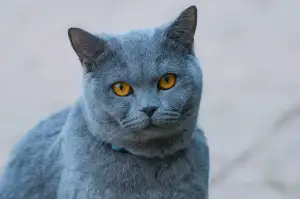 Rekvalifikační Kurz Mzdová Účetní